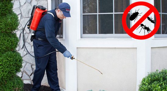 Turhal Gümüşkurt İlaçlama böcek ilaçlama ve haşere kontrolü — ilaclama-tr.com